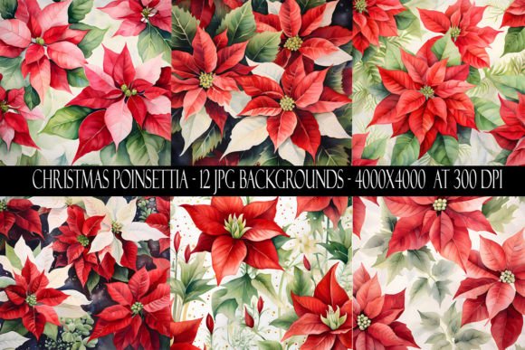 Christmas Poinsettia Backgrounds: Festive Design Assets